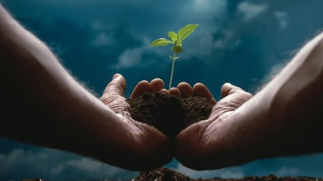 Photo courtesy of Unsplash by Getty Images